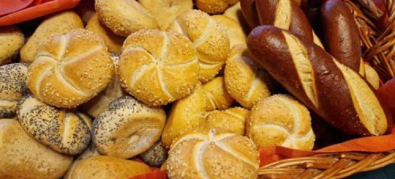 哈啦斯科尔特巴达索尼酒店(Hotel Halászkert Badacsony)图片