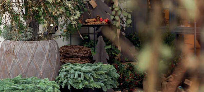 玛腾松酒店(Elite Hotel Mårtenson)图片