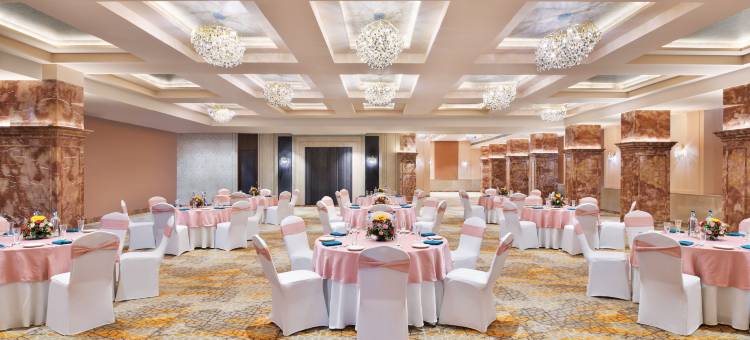 诺富特焦特布尔 ITI 圆环酒店(2023 年 4 月开业)(Novotel Jodhpur Iti Circle)图片