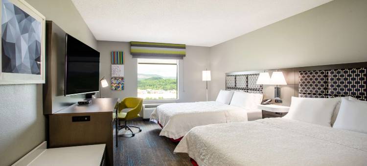 希尔顿欢朋酒店-埃尔金斯斯(Hampton Inn Elkins)图片