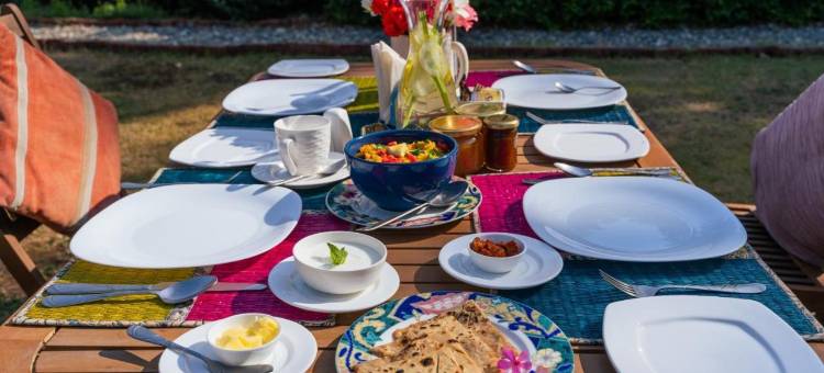 生活之树Junoon山中(Tree of Life Junoon in the Hills)图片