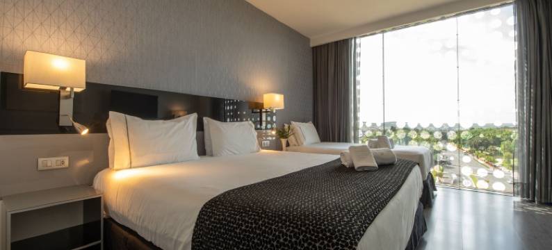 欧洲之星皇宫酒店(Eurostars Palace)图片