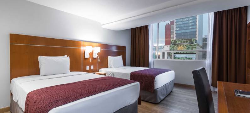 欧洲之星酒店(Eurostars Zona Rosa Suites)图片