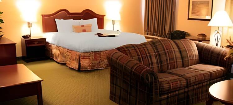 希尔顿欢朋酒店-休斯顿布鲁克霍洛(Hampton Inn Houston-Brookhollow)图片