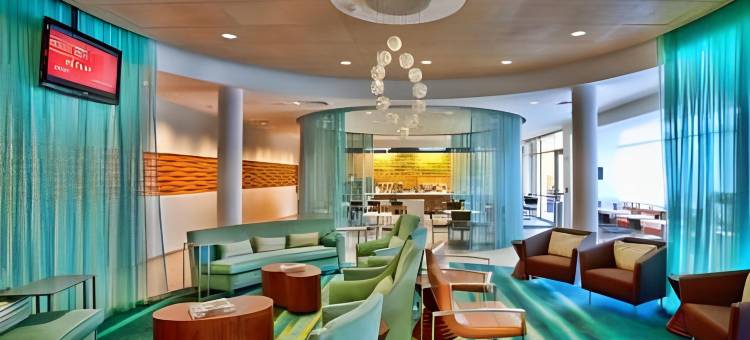坦帕北/坦帕棕榈万豪SpringHill酒店(SpringHill Suites Tampa North/I-75 Tampa Palms)图片