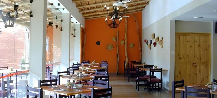 纳斯卡标准卡萨安迪娜酒店(Casa Andina Standard Nasca)图片