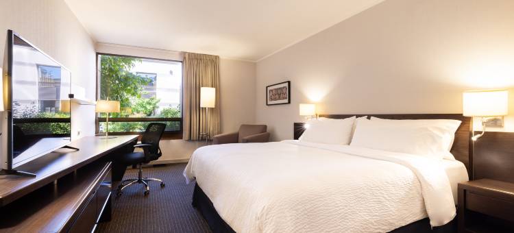 Holiday Inn Express 特木科(Holiday Inn Express Temuco)图片