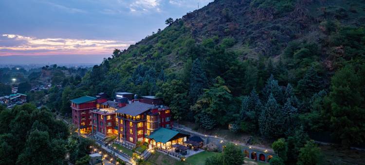 金色郁金香斯里纳格(Golden Tulip Srinagar)图片