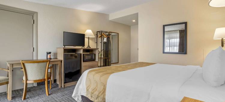 NRG公园医疗中心凯艺套房酒店(Quality Inn & Suites NRG Park - Medical Center)图片