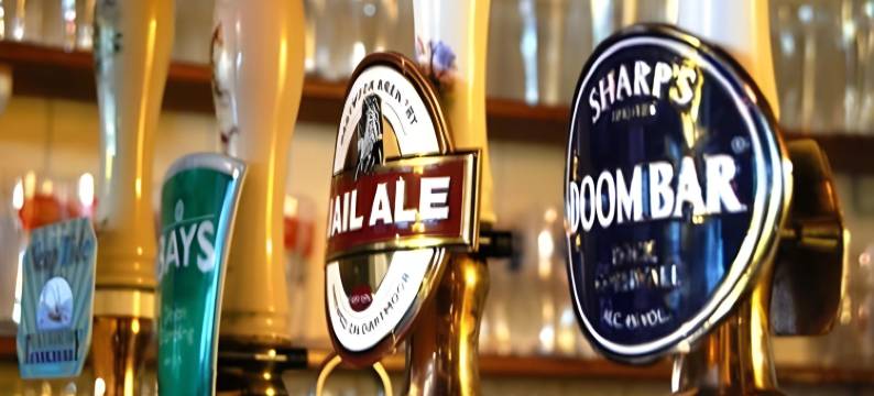 惊喜旅馆(The Who'd Have Thought It Inn)图片