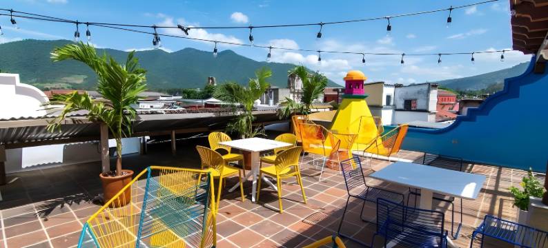 为什么不酒店(Why Not Hotel)图片