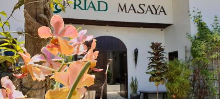里亚德马萨亚宾馆(Riad Masaya)图片