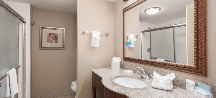 布兰森欢朋酒店 - 布兰森山(Hampton Inn Branson - Branson Hills)图片