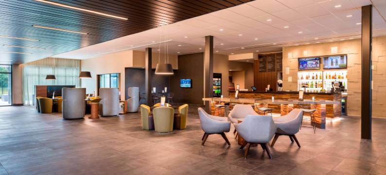 坦帕西北-老兵高速公路万怡酒店(Courtyard Tampa Northwest/Veterans Expressway)图片