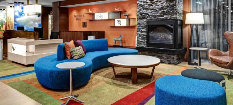 兰辛伊斯特伍德万枫酒店及套房(Fairfield Inn & Suites Lansing at Eastwood)图片