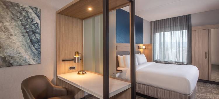 菲德里克万豪SpringHill Suites酒店(SpringHill Suites Frederick)图片