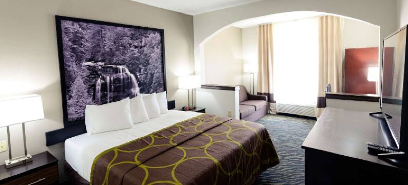 海波因特-格林斯波罗温德姆速8酒店(Super 8 by Wyndham High Point/Greensboro)图片