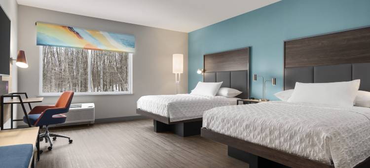 纽约奥巴尼国际机场希尔顿杜尔饭店(Tru by Hilton Albany Airport)图片