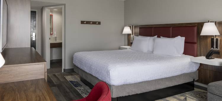 雅典欢朋酒店(Hampton Inn Athens)图片