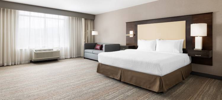 希尔顿欢朋套房酒店-纳帕(Hampton Inn & Suites Napa)图片