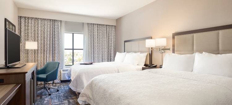 西德梅茵磨思维克欢朋酒店(Hampton Inn & Suites West des Moines/SW-Mall Area)图片