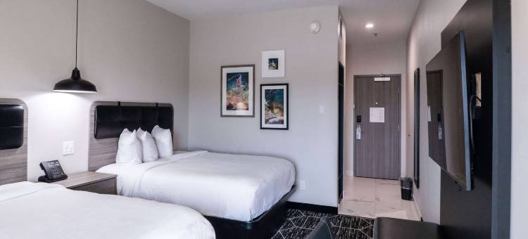 科珀斯克里斯蒂东南拉昆塔温德姆套房酒店(La Quinta Inn & Suites by Wyndham Corpus Christi Southeast)图片