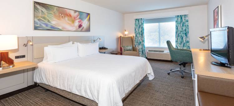 代托纳比奇机场希尔顿花园旅馆(Hilton Garden Inn Daytona Beach-Airport)图片