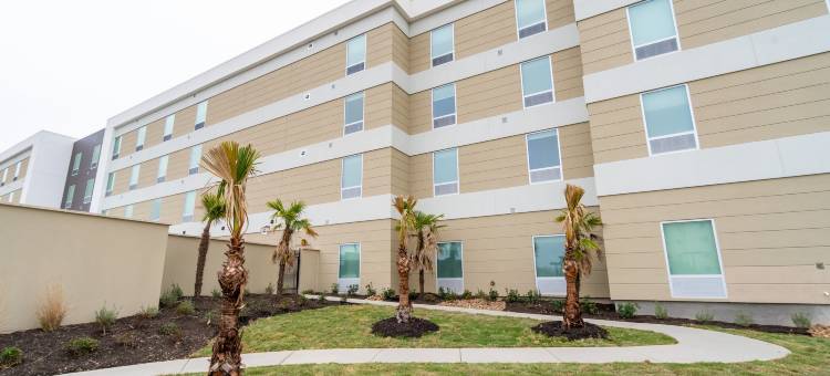 圣安东尼奥林姆希尔顿惠庭酒店(Home2 Suites by Hilton San Antonio at the Rim)图片