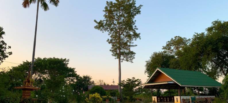 乡村湖天然酒店(The Country Lake Nature Lodge Hotel)图片