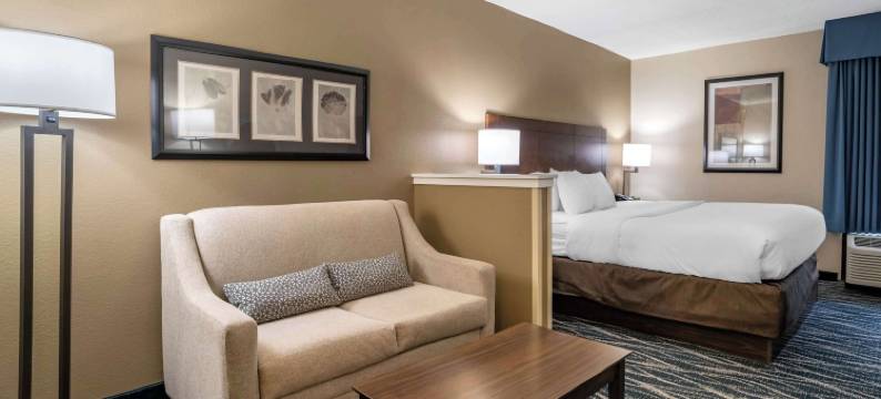 舒适套房酒店-纽华克威尔明顿(Comfort Inn & Suites Newark - Wilmington)图片