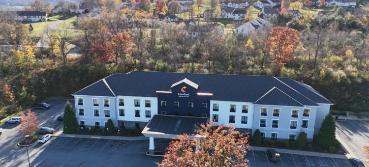 舒适套房酒店(Comfort Inn & Suites)图片