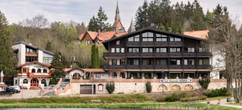 克拉尼奇西酒店(Hotels am Kranichsee)图片