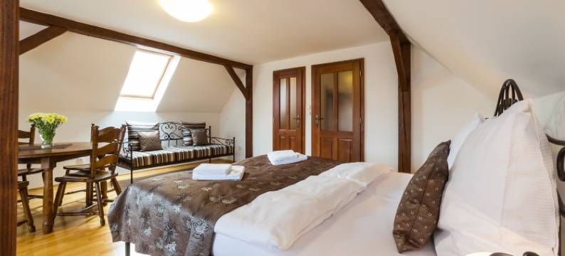 维拉克鲁姆洛夫公寓(Vila Krumlov)图片