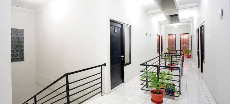 Dparagon 德维科拉(Dparagon Dwikora)图片