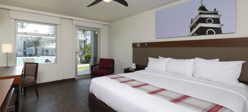 皮乌拉安迪纳优质酒店(Casa Andina Premium Piura)图片