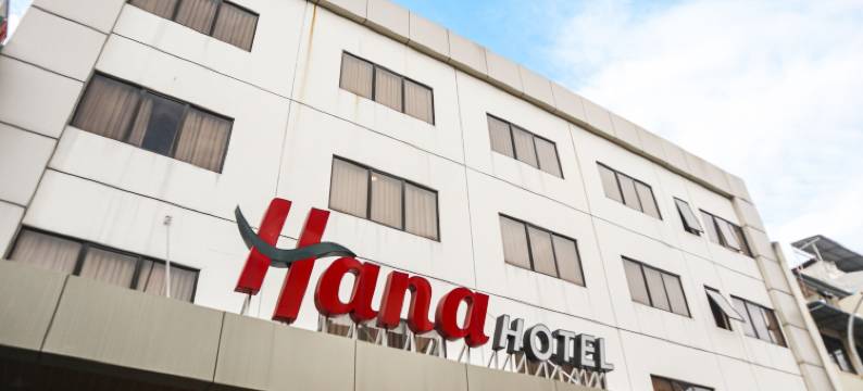 巴淡哈纳酒店(Hana Hotel)图片