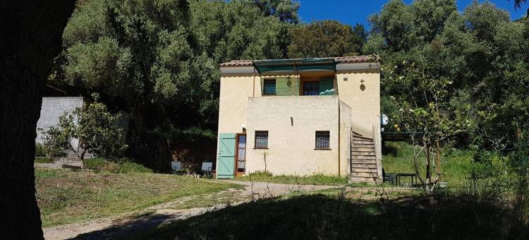 艾利沃家庭旅馆(A Casa di l'Alivu)图片