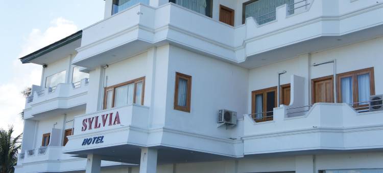 茂摩西尔维亚酒店(Sylvia Hotel Maumere)图片