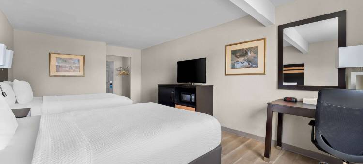 奥尔巴尼桑尼戴斯酒店(Days Inn by Wyndham Albany Suny)图片