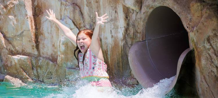 万豪奥本欧佩莱卡大国民会议中心度假村(Auburn Marriott Opelika Resort & Spa at Grand National)图片