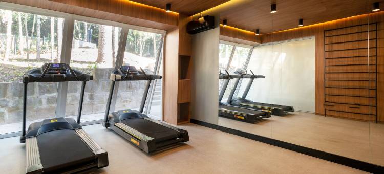 简加尔达萨拉鲁卡里亚天鹅设计酒店金奈莱(Jangal Das Araucárias Swan Design Hotel Canela)图片