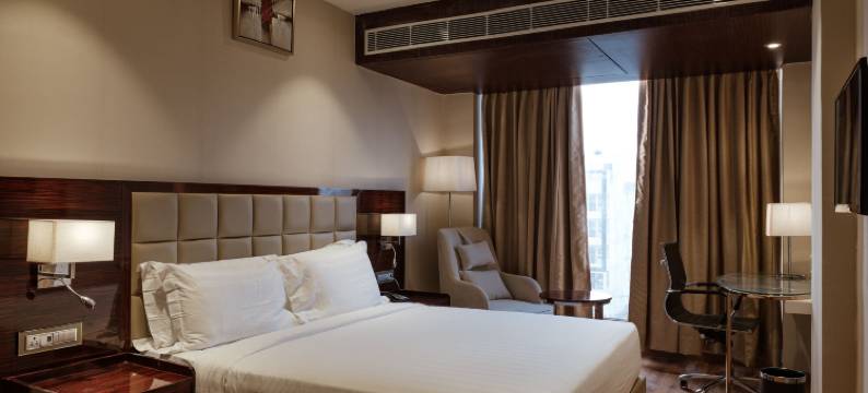 克拉克斯高级酒店(Clarks Premier Kota)图片