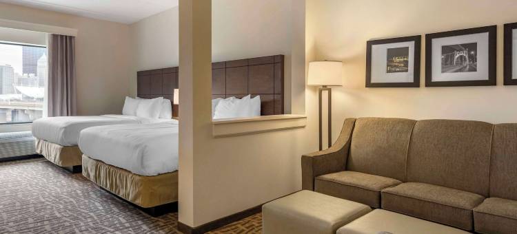 匹兹堡北岸舒适套房酒店(Comfort Inn & Suites Pittsburgh-Northshore)图片