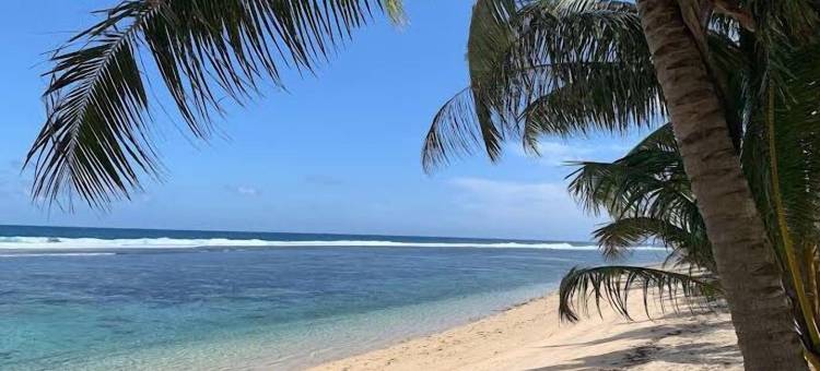 杰米海滩小屋(Jaymy Beach Fales)图片