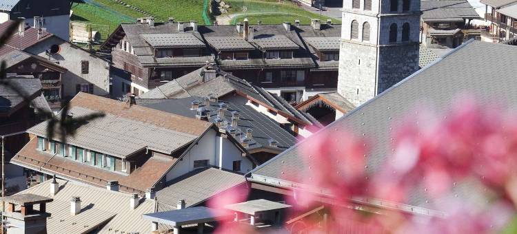 加尔里那酒店(Carlina)图片