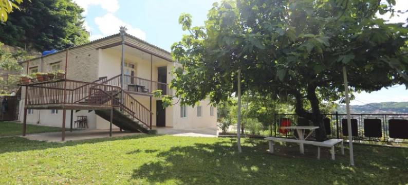 绿色之家招待所(Green House Guest House)图片