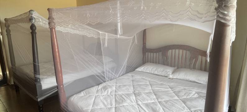 Katurum Lodge Kidepo木屋(Katurum Kidepo Lodge)图片