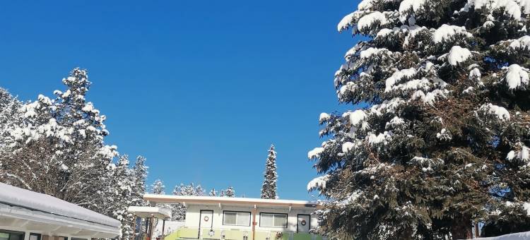 雪松汽车旅馆(Cedars Motel)图片