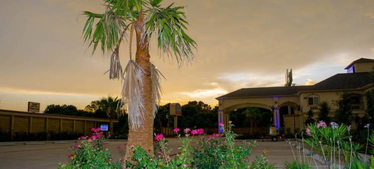 德克萨斯休斯顿 - 威洛布鲁克购物中心 6 号汽车旅馆(Motel 6 Houston, TX - Willowbrook Mall)图片