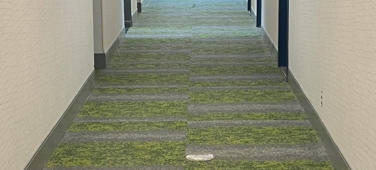 洛克波特希尔顿Spark酒店(Spark by Hilton Lockport)图片